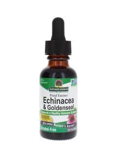 Buy Echinacea & Goldenseal Alcohol Free Fluid Extract 30ml in UAE