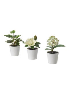 Buy Artifi Potted Plant W Pot  Set Of 3  In/Outdoor White 6cm in Saudi Arabia