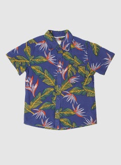 Buy Baby Boys Collared Neck Short Sleeve Shirt Multicolour in UAE