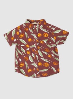 Buy Baby Boys Round Neck Short Sleeve Shirt Multicolour in UAE