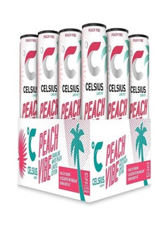 اشتري Fitness Drink Peach Vibe 355 Ml - Pack Of 12 في الامارات