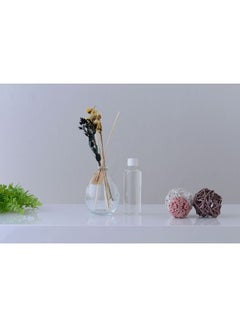 Buy Black Forest Reed Diffuser Multicolour 100ml in UAE