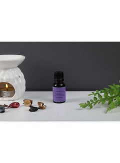 Buy Essential Oil Pure Lavender Purple 15ml in UAE