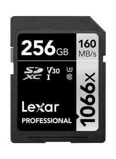 Buy Professional 1066x UHS-I SDXC Memory Card 256.0 GB in UAE