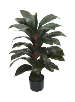 Buy Artificial Brazil Plants With Plastic Pot Green 80X53cm in UAE