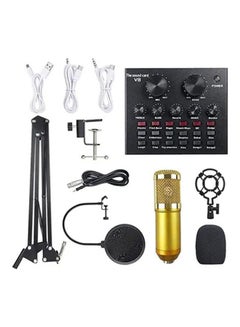 Buy Multifunctional Live Sound Card And Suspension Microphone Set PSM-Mic03 Muticolour in Saudi Arabia