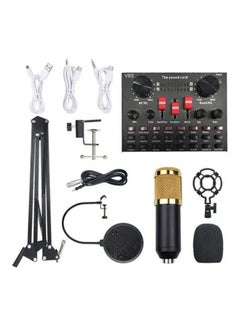 Buy Professional Sound Card And Portable Microphone With Stand Set PSM-Mic04 Muticolour in Saudi Arabia