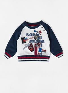 Buy Baby Boys Raglan Sleeve Sweatshirt Multicolour in Saudi Arabia