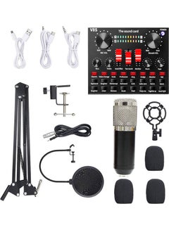 Buy Studio Recording And Broadcasting  Microphone Set Black/Silver in UAE