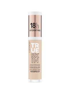 Buy True Skin High Cover Concealer 010 Cool Cashmere in UAE