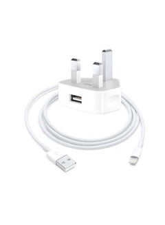 Buy Power Adapter With Lightning USB Cable White in UAE