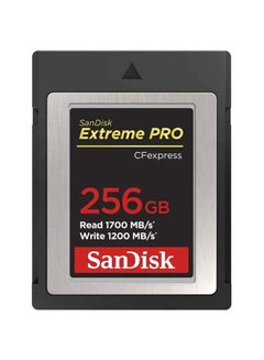 Buy Extreme PRO CFexpress Card Type B,, 1700MB/s Read, 1200MB/s Write 256.0 GB in UAE