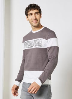 Buy Regular Fit Sweatshirt Dark Grey/White in UAE