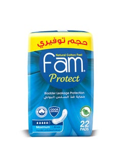 Buy Protect Sanitary Napkin 22 Pads in UAE