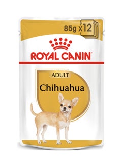 Buy Breed Health Nutrition Chihuahua Adult Multicolour 1020grams in UAE