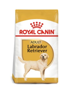 Buy Breed Health Nutrition Labrador Retriever Adult Multicolour 3kg in UAE