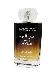 اشتري عطر بخاخ أمير العود 100ملليلتر في السعودية