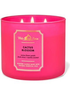 Buy Cactus Blossom 3-Wick Candle Pink 411grams in Saudi Arabia