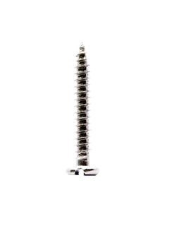 Buy 10-Piece Self Tapping Screw Pan Head Silver 10x1.25inch in UAE