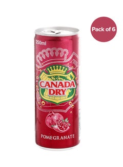 Buy Pomegranate Can 250ml Pack of 6 in UAE