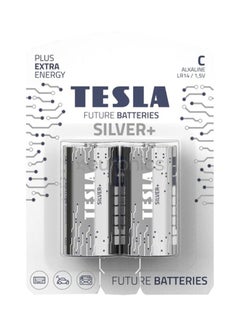 Buy 2-Piece Dry Batteries Silver in Saudi Arabia