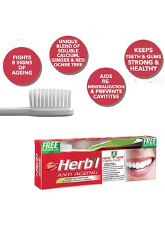 Buy Herbal Antiageing Natural Red Toothpaste With Free Toothbrush 150grams in UAE