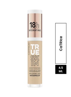 Buy True Skin High Cover Concealer 032 Neutral Biscuit in UAE