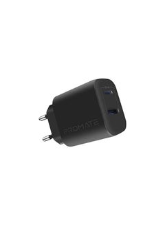 Buy USB-C Adapter, Universal 17W Multi-Port Wall Charger with 5V/3A Type-CPort, 5V/2.4A USB-A Port, Adaptive Charging and Over-Charging Protection for iPhone 13, iPad Air, BiPlug-2 EU Black in Egypt