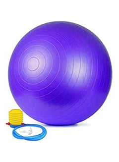 Buy Yoga Fitness Exercise Ball/Inflator Pump Pilates Gym Abdominal Training Balance 65cm in Egypt