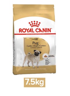 Buy Adult Pug Carlin/Mops/Carlino Over 10 months Old 7.5kg in UAE