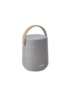 Buy Harman Kardon Citation 200 Portable Smart Speaker for HD Sound Grey in Egypt