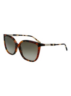 Buy Women's Full Rim ZYL Butterfly Sunglasses  L963S-009-5916 in Saudi Arabia