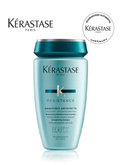 Buy Resistance Force Architecte Shampoo for Damaged Hair 250ml in Egypt