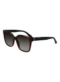 Buy Women's Full Rim Acetate Modified Rectangle  Sunglasses  CK21530S-220-5517 in UAE