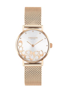 Buy Women's Perry Silver Dial Watch 14503857 in Saudi Arabia