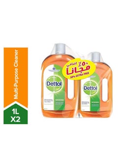 Buy Anti-Bacterial Antiseptic Liquid Disinfectant 2x1Liters in UAE