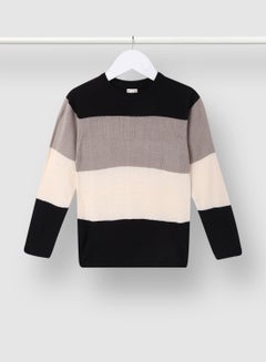 Buy Boys Round Neck Long Sleeve Sweater  Block Black/Grey/White in UAE
