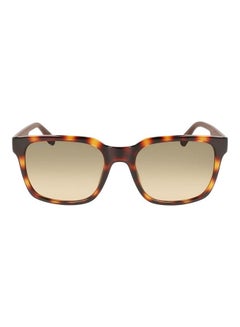 Buy Men's Full Rim Injected Modified Rectangle Sunglasses L967S 5519 (230) Havana in UAE