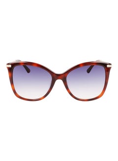 اشتري Women's Full Rim Acetate Butterfly Sunglasses CK22514S 5518 (220) Brown Havana في السعودية