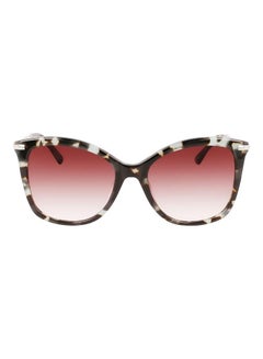 Buy Women's Full Rim Acetate Butterfly Sunglasses CK22514S 5518 (444) Aqua Tortoise in Saudi Arabia
