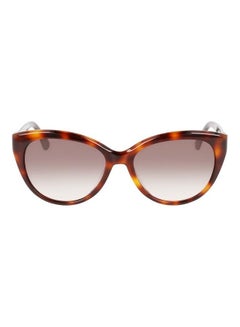 اشتري Women's Full Rim Acetate Cat Eye Sunglasses CK22520S 5717 (236) Havana/Black في الامارات