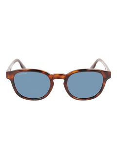 Buy Full Rim Injected Oval Sunglasses L968S 5121 (230) Havana in Saudi Arabia