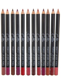 Buy 12-Piece Waterproof Lipliner Pencil Set Multicolour in Saudi Arabia