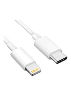 Buy USB Type C To Lightning Data Charging Cable White in Egypt