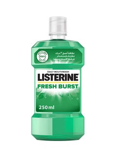 Buy Fresh Burst Daily Mouthwash With Germ Killing Oral Care Formula To Reduce Plaque 250ml in UAE