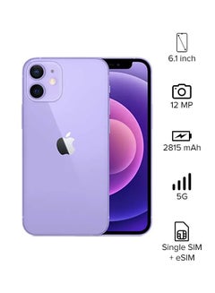 Buy iPhone 12 with Facetime 64GB Purple 5G - International Specs in UAE