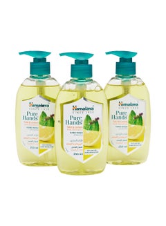 Buy Pure Hand Wash Tulsi And Lemon 250ml Pack of 3 in UAE