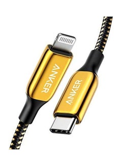 Buy Lightning To USB C Cable Black/Gold in Egypt