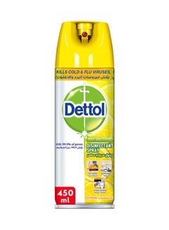 Buy Antibacterial All in One Disinfectant Spray, Citrus 450ml in UAE