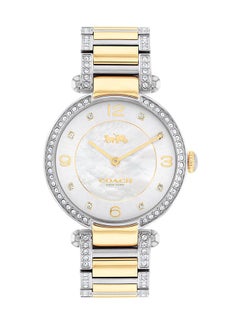 اشتري Women's Watches Cary  Silver Mother of Pearl Dial Watch - 14503833 في الامارات